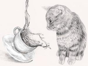 Bild av en katt, illustration i blyerts